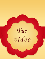 tur virtual